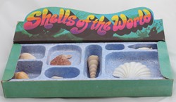 Chivers - Shells of the World, 1972