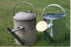 Watering cans, vintage and modern vintage style