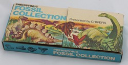 Chivers -Fossil Collection 1973 Chivers -Fossil Collection 1973