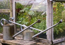 Vintage Haws type watering cans at Great Dixter Vintage Haws type watering cans at Great Dixter