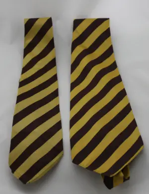 Ties from Baines Grammar School, Poulton-Le-Fylde, Lancashire Ties from Baines Grammar School, Poulton-Le-Fylde, Lancashire