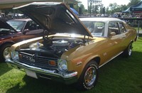 1973 Chevrolet Nova SS Coupe (image by Bull-Dozer) 1973 Chevrolet Nova SS Coupe (image by Bull-Dozer)